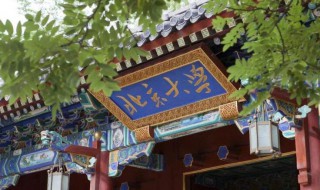 211和985的区别（211和985的区别分数线是多少）