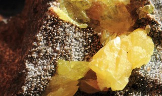 化学式是s2的物质是气体吗（S2是什么化学物质）