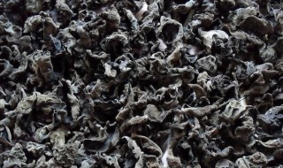 新鲜湿木耳能放多久 新鲜湿木耳能放多久不变质