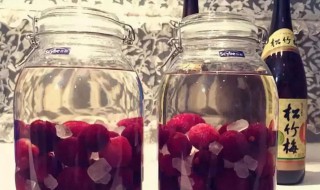 杨梅泡酒要不要洗一下