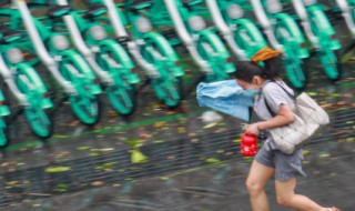 关于雨水节气的祝福语（雨水节气的经典祝福语）