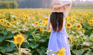 惊艳美好却小众的文案句子 小众却惊艳的文案短句