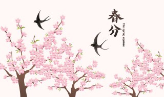 春分的唯美句子 关于春分的唯美句子