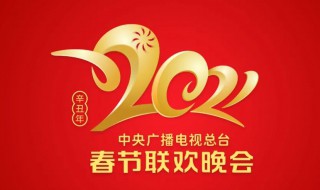 牛年春晚导演是谁（央视牛年春晚总导演是谁?）