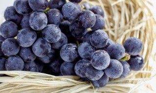 红提子怎么保鲜(红提如何保鲜)