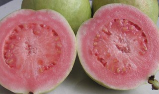 红芭乐怎么保鲜（红心芭乐的保存方法）