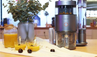 怎么选购破壁机 怎样选购破壁机?