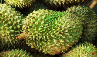 怎么判断榴莲是否成熟 怎么判断榴莲是否成熟视频