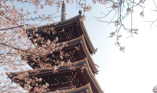 关于三月的句子 关于三月的句子说说