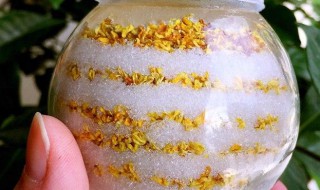 做桂花糖好吃的方法（做桂花糖好吃的方法有哪些）