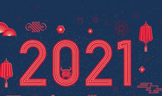 关于2021年的感慨（2021过年感慨）