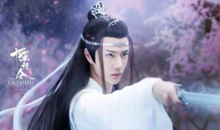 陈情令主演是谁 谁是陈情令主演