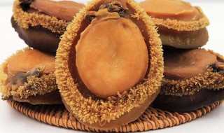 干鲍鱼保质期多长时间（干鲍鱼保质期多久）