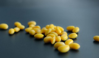 黄豆泡一天一夜有毒吗（黄豆泡一天一夜有毒吗能吃吗）