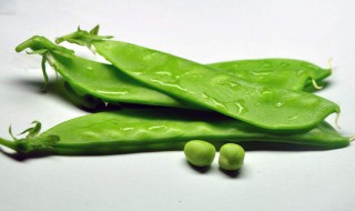 蒜泥荷兰豆怎么做（蒜泥荷兰豆怎么做好吃）