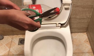 马桶里卡了硬物妙招 马桶里卡了硬物妙招图片