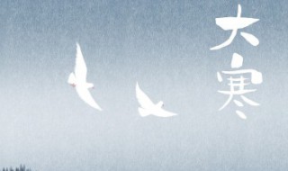 大寒应该吃什么养生 大寒适合吃什么可以养生