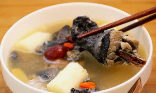 如何炖鸡汤最好喝 怎么炖鸡汤最好喝