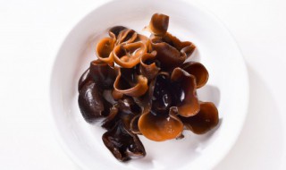 凉拌黑木耳的家常做法 凉拌黑木耳做法大全