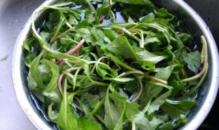 马兰头拌豆腐怎么做 马兰头拌豆腐怎么做才好吃