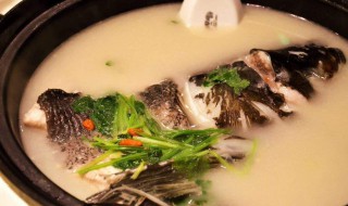 香菜鱼头汤怎么做 香菜鱼头汤的做法