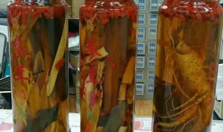 喝鹿鞭酒禁忌 鹿鞭酒忌吃什么