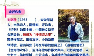 刘湛秋被誉为 刘湛秋被誉为什么?