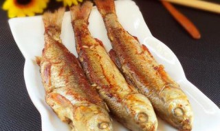 油煎华子鱼怎么做（鱼子怎样煎）