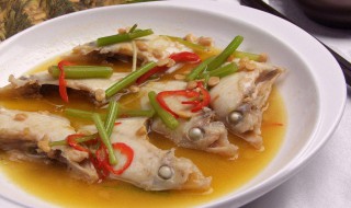 雪菜橡皮鱼怎么做 雪菜橡皮鱼怎么做好吃