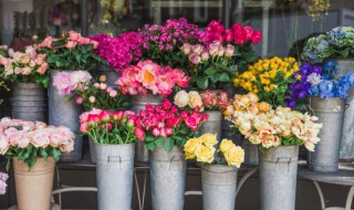 论插花的技巧（插花知识大全与技巧）