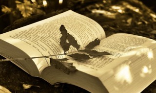 记录同学友情的句子 记录同学友情的句子短句