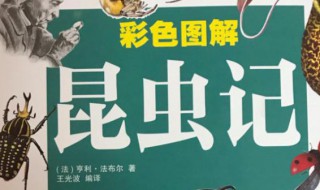 法布尔被誉为 法布尔简介