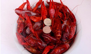 小龙虾冰冻怎么保鲜(小龙虾冰冻怎么保鲜好)