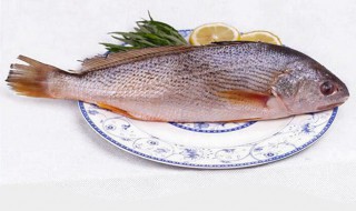 小黄鱼怎么保鲜（小黄鱼怎么保鲜好）