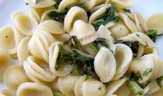 猫耳面做法步骤（猫耳面的做法窍门）