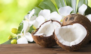 椰果的功效与作用 椰果的功效与作用长胖