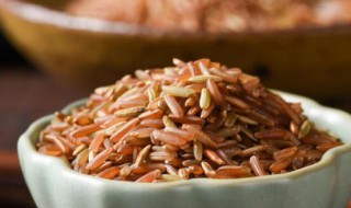 红糙米和糙米的区别 红糙米和糙米的区别图片