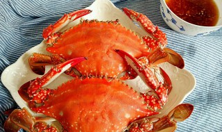 梭子蟹什么季节吃最好（梭子蟹什么季节吃最好吃）