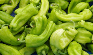 虎皮尖椒的做法最正宗的做法(虎皮尖椒的做法最正宗的做法窍门)