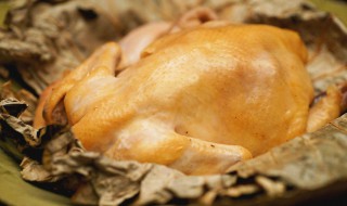 荷叶叫花鸡怎么做（荷叶叫花鸡怎么做的）