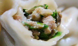 鱼肉馅简单做法 鱼肉怎么做肉馅