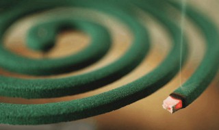 蚊香对人体有什么伤害 蚊香对人体有什么伤害吗