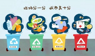上海为什么要垃圾分类（上海垃圾一定要分类吗）