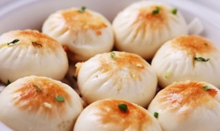 生煎包介绍（上海生煎包介绍）