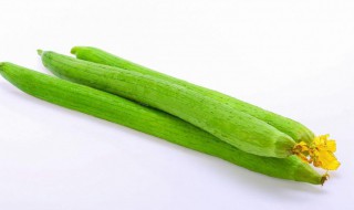 虾仁炒丝瓜的做法（虾仁炒丝瓜的家常做法窍门）