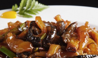 海参烧肉末怎么做（海参烧肉末怎么做好吃）