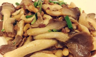 酱油爆鲜菇怎么做 酱油爆鲜菇怎么做好吃