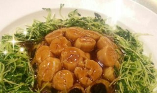 发菜瑶柱脯怎么做（发菜瑶柱脯怎么做才好吃）