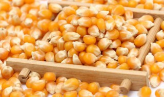爆米花用什么玉米（在家炸爆米花用什么玉米）