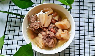 莲藕鸭汤怎么做（莲藕鸭汤怎么做才好喝）